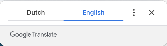 Language selection options in Google Translate: Dutch and English.